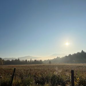 Meet your Posher, Braden